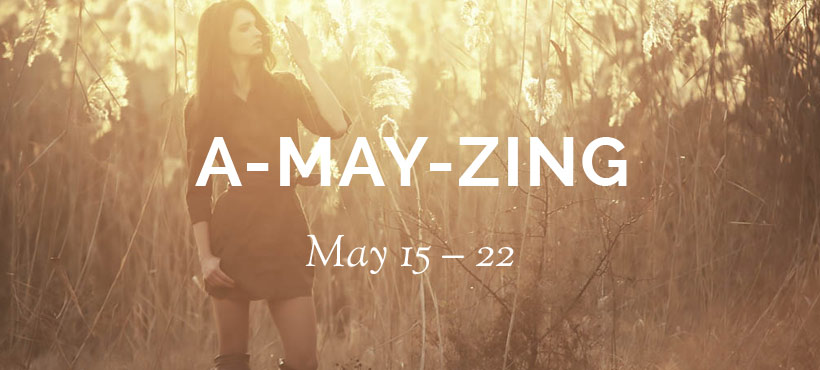 WordPress theme A-May-zing Sale