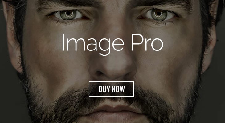 WordPress theme Beautify Your Images With Image Pro Addon